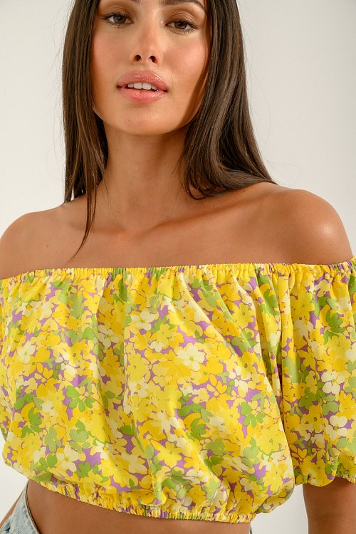 Off- shouldered floral cropped top