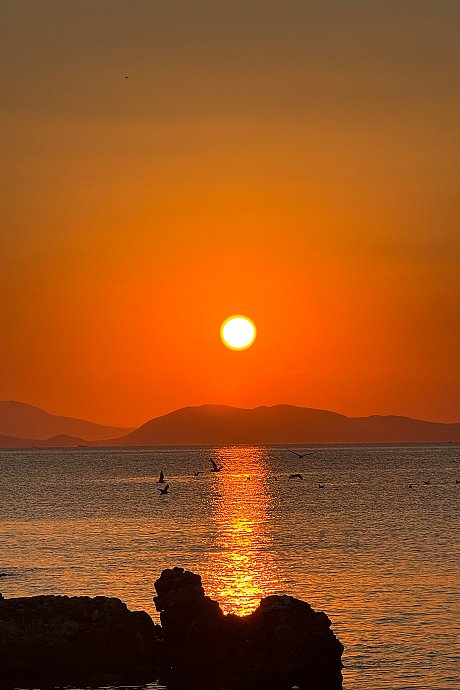 Golden Hour!